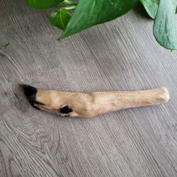Deer Hoof Taxidermy