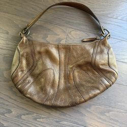 Brown / Bronze Leather Purse
