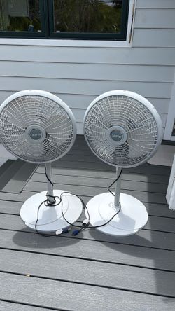 Fans (2) Lasko