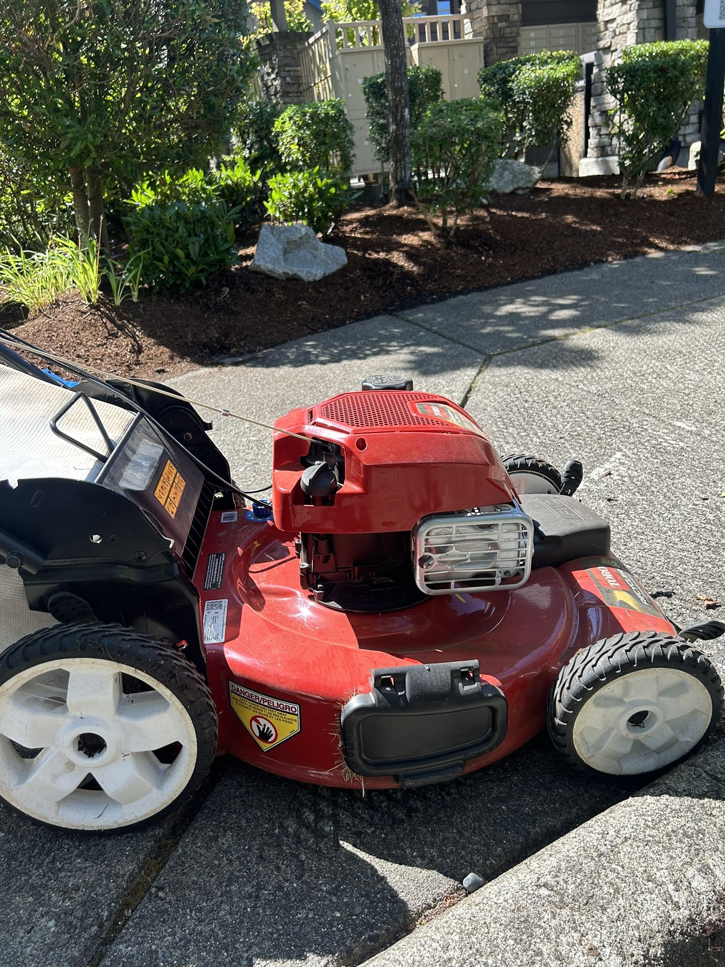 Toro Recycler Self-propelled Lawnmower (22" cut)