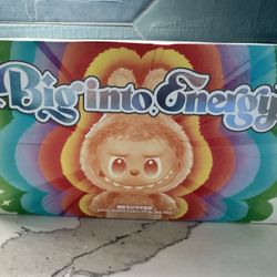Biginto Energy Labubu Box