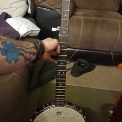Rogue Banjo