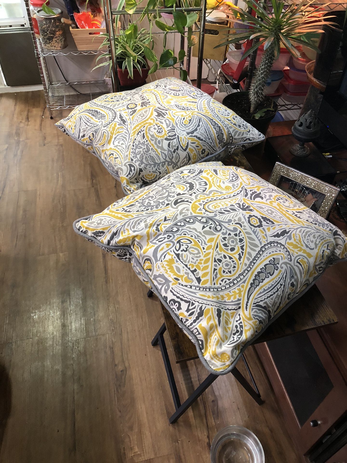 Two Pillows/ Both $8