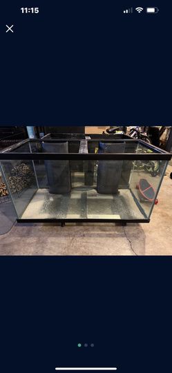 120 Gallon Tank