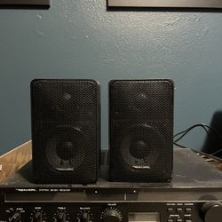 Realistic Receiver With Speakers 