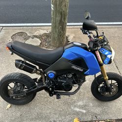 Honda Grom Motorcycle 