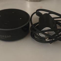 Amazon Alexa Echo Dot 1st Gen