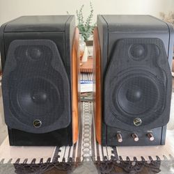 Swan Speakers 