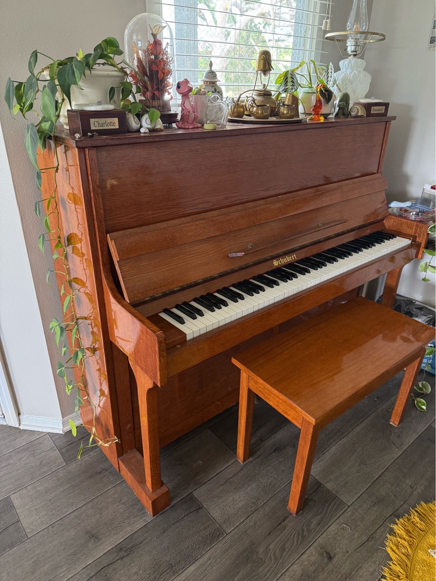 Upright Schubert
