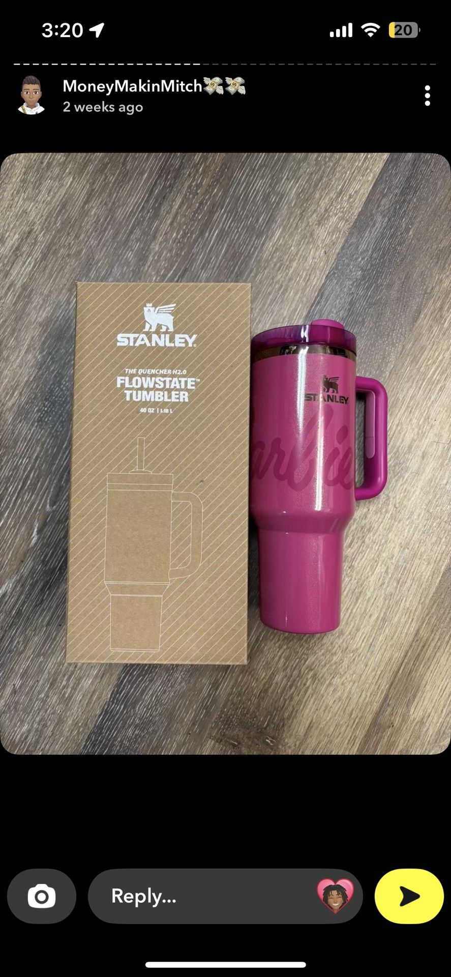 Barbie Stanley Cup