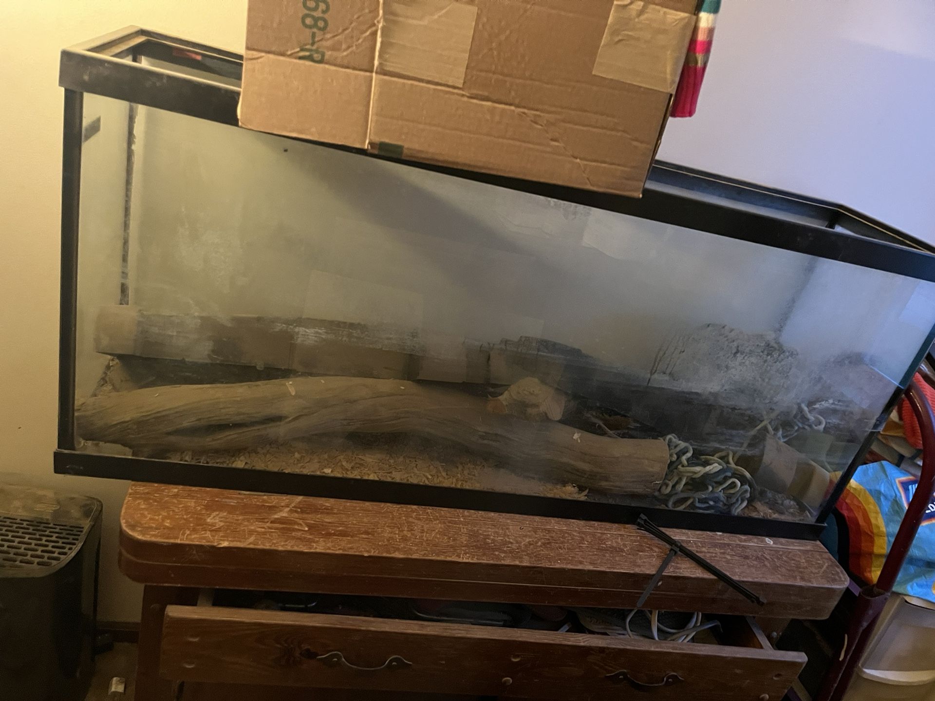 50 Gallon Glass Tank