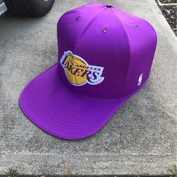 Cute Small Dog Lakers Hat House
