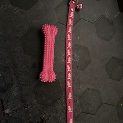XxSmall Pet Collar  And Chew Bone