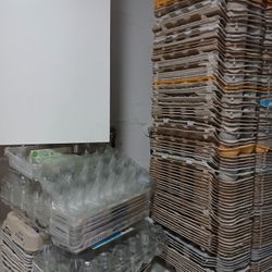 109+ Egg CARTONS For Sale/Trade