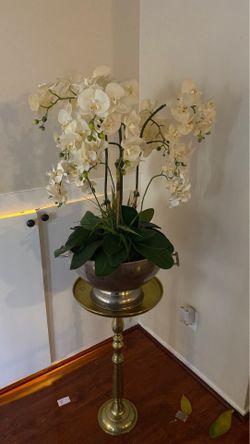 Orchids and golden base