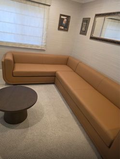 Couch/Furniture
