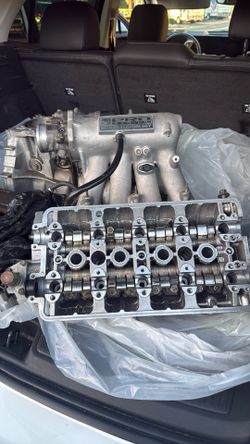 B16 head
