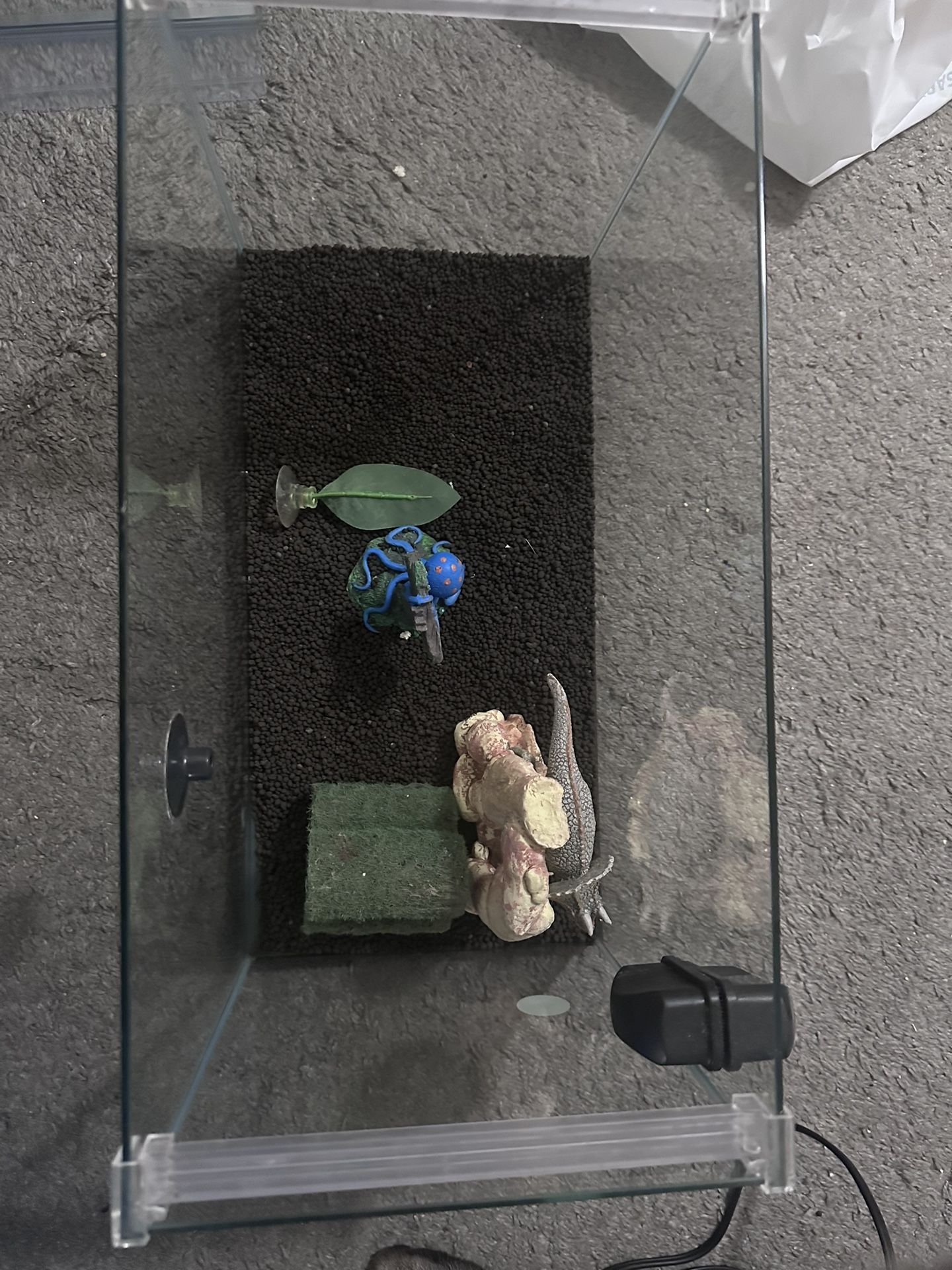 5 gallon fish tank with supplies