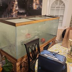 210 Gallon Fish Tank And Stand 
