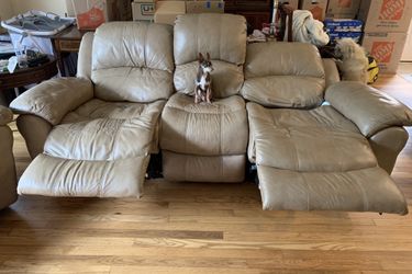 reclining couch ( puppy not included)