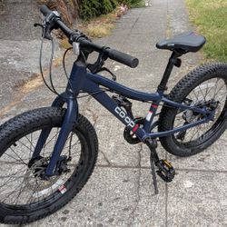 REI Co-op Cycles REV 20 6 Speed Plus Kids Mountain Bike