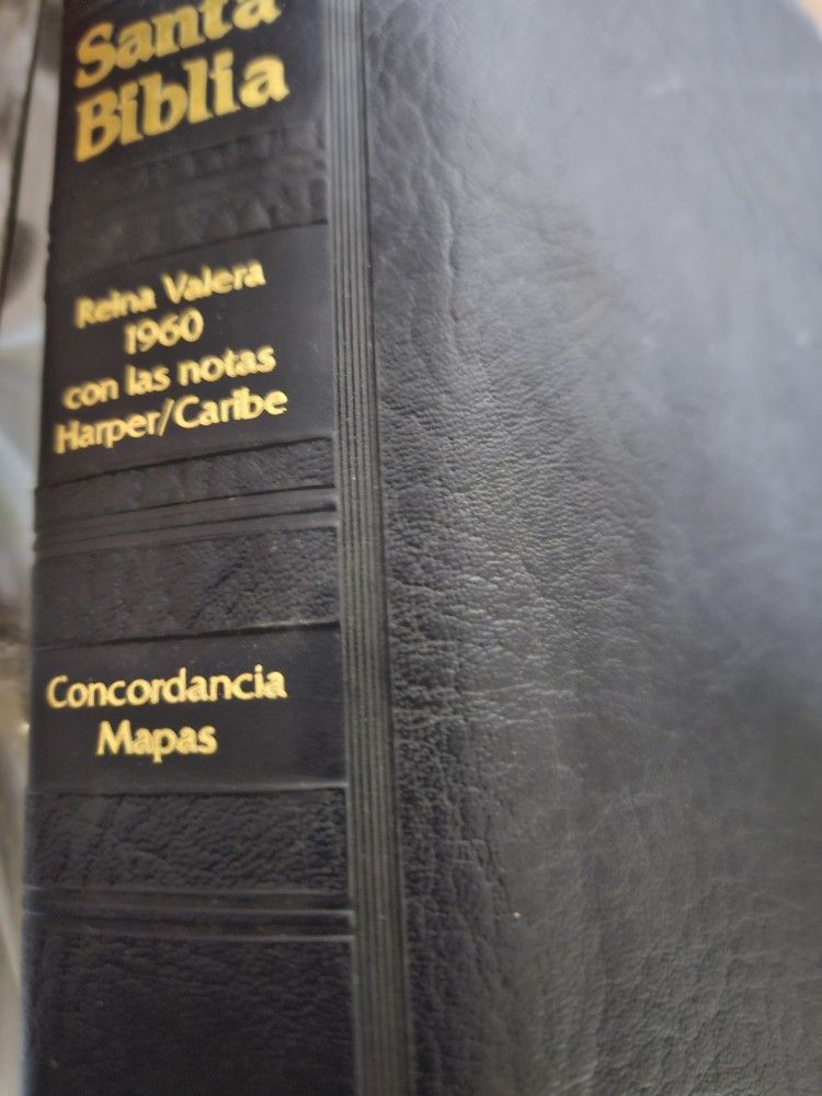 Santa Biblia...Spanish Bible