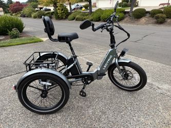 Lectric XP Trike
