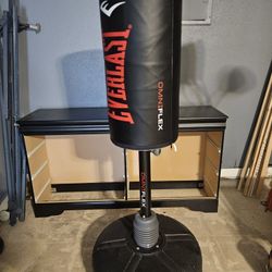 Free Standing Heavy Bag