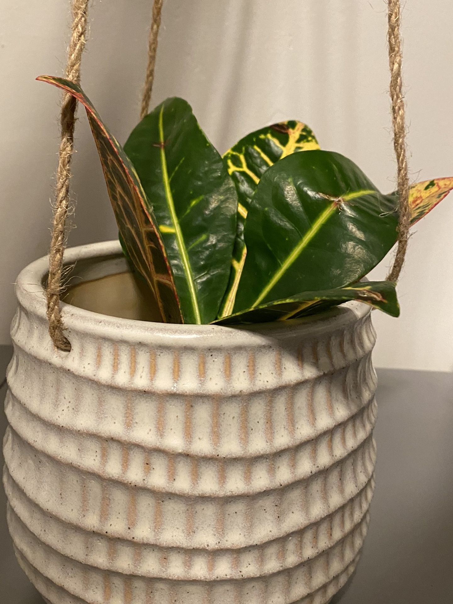 5 1/2” Ceramic Hanging Pot