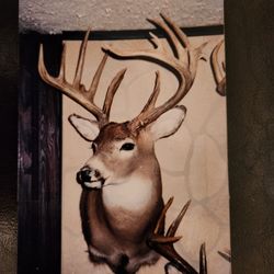 Deer