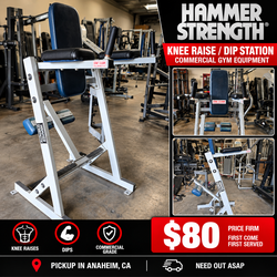Hammer Strength Knee Raise / Dip Station – Commercial Gym Equipment