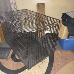 Foldable Dog Crate ( New Condition)