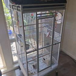 Bird Cage