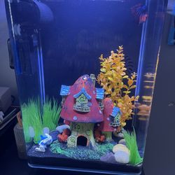 Marine land 5 Gallon 