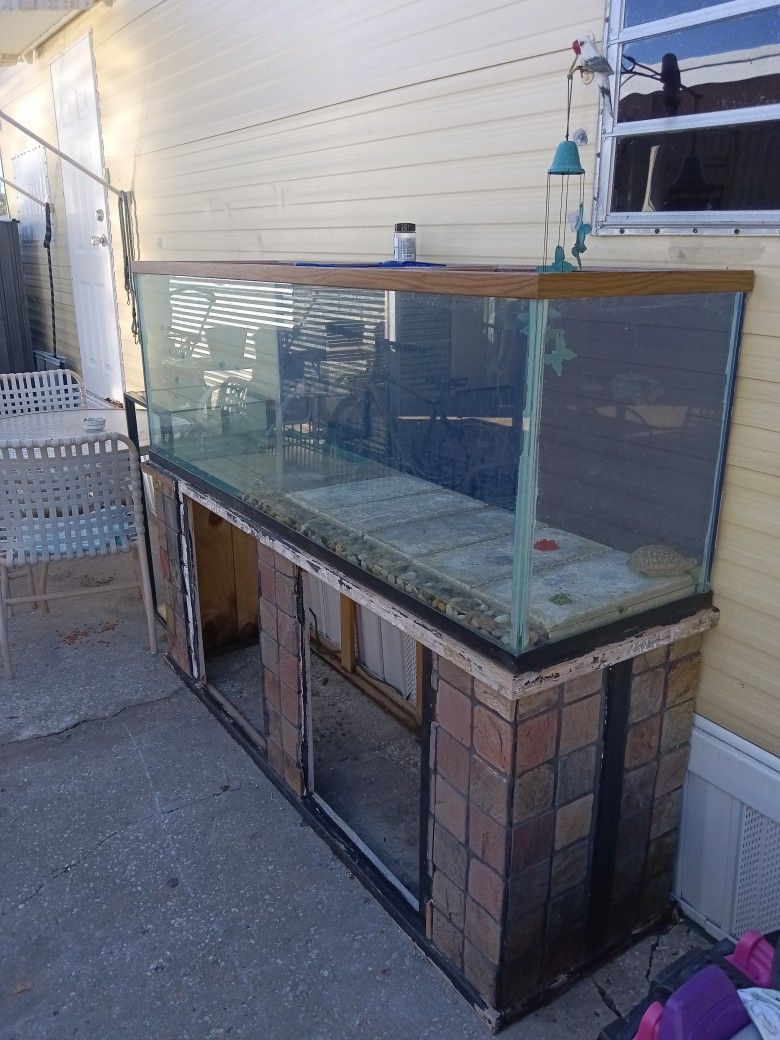 FREE Large Fish Tank