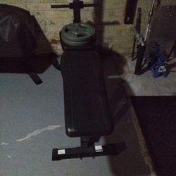 Weight Bench And Weights