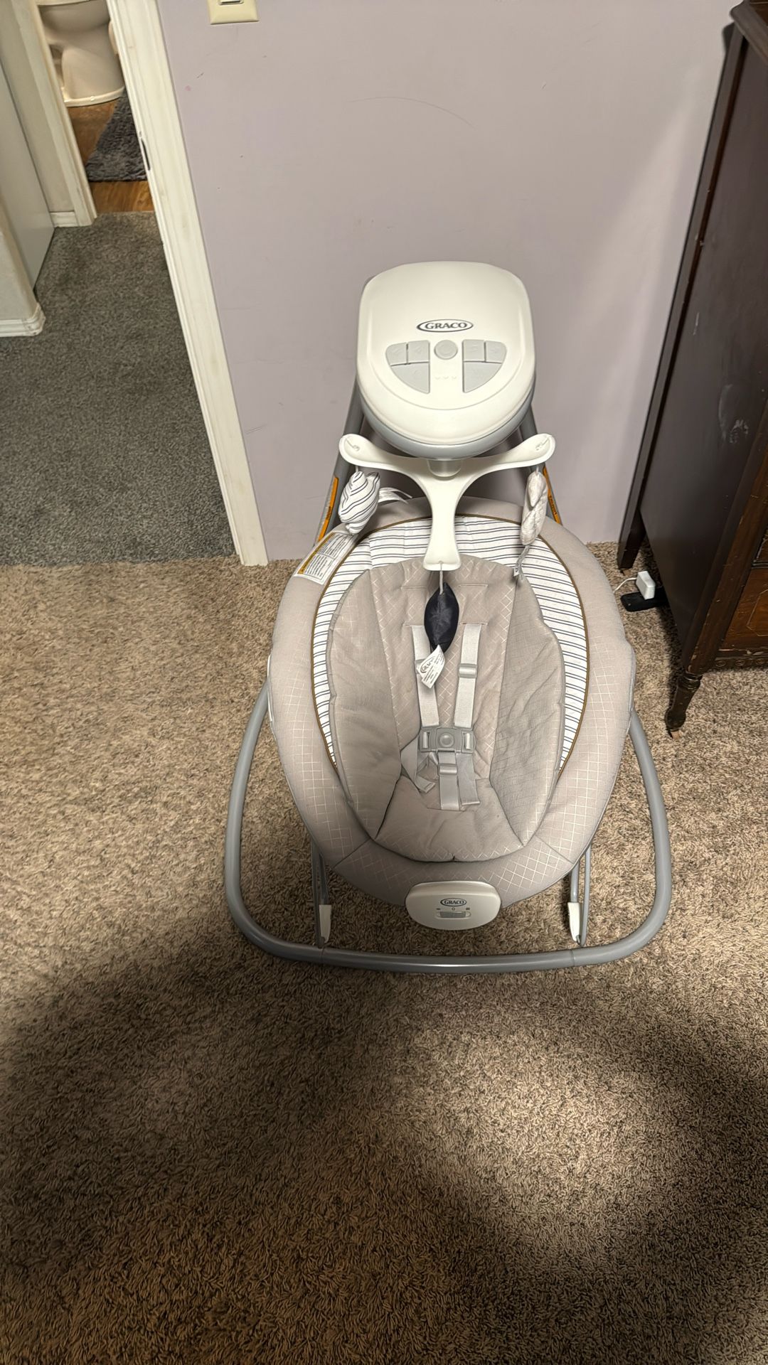 Graco Baby Swing Child