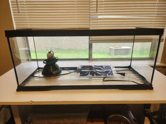 Terrarium