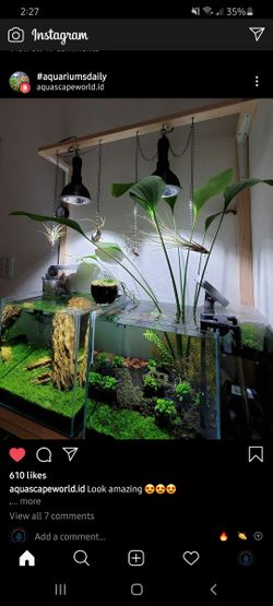 Aquascapingsupply of orlando