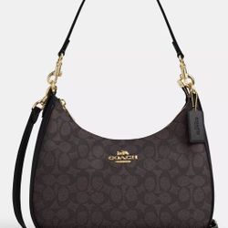 Coach Terri Hobo Bag