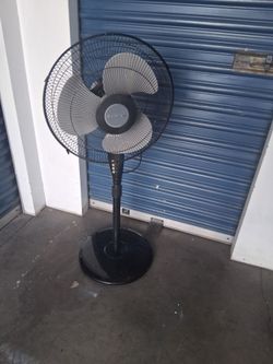 Fan