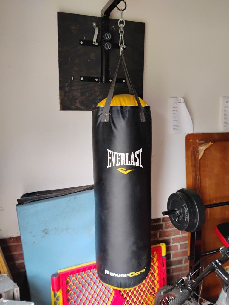 Everlast Heavy Punching Bag
