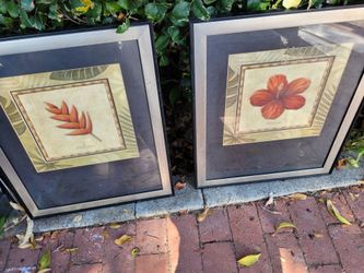 Hawaiian Framed Pictures