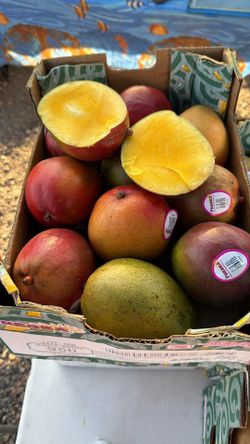 Mango