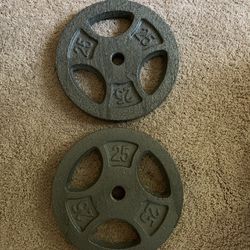 Standard Weight Plates - Pair of 25s - Total 50 Pounds 