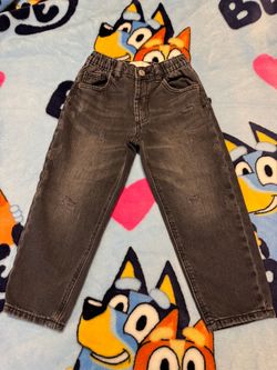 ZARA Pants