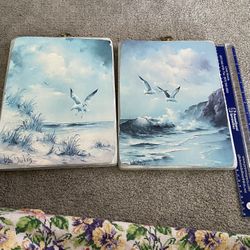 Sea Gulls Pictures-2