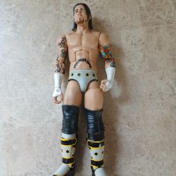 Toy WWE Wrestling Action Figure - CM Punk