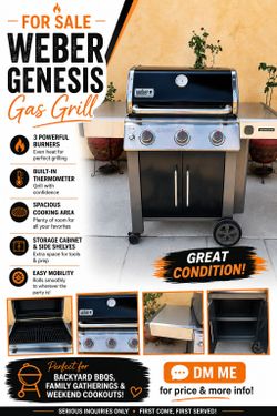 Bbq Weber Grill natural gas "