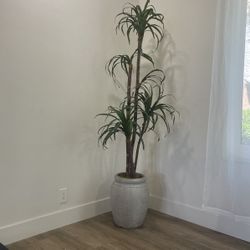 artificial Indoor Plant